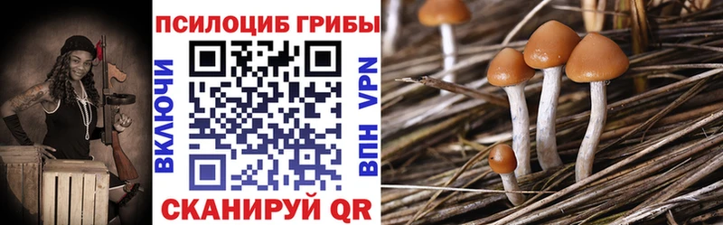 Псилоцибиновые грибы GOLDEN TEACHER  даркнет телеграм  Дрезна  где найти  